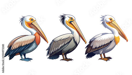 Bild auf Leinwand set of pelican bird clipart vector illustration