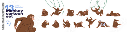Photography Funny monkey set