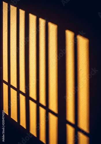Modern Vertical Wooden Slats with Shadow Play.