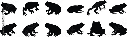 Group of frog silhouettes in various poses including sitting leaping and jumping displaying natural wildlife behavior for creative design projects.
