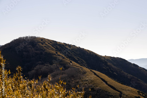 金時山