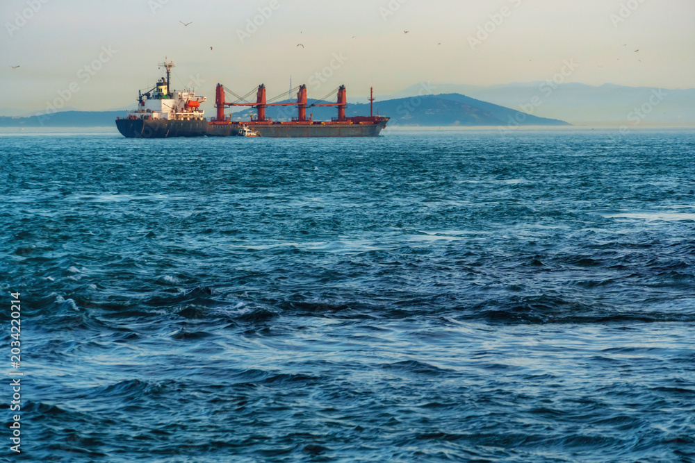 Fototapeta premium Large cargo ship vessel sailing on the blue sea near the coast of Istanbul, Turkey; heavy maritime transportation and international shipping industry concept at sunset.