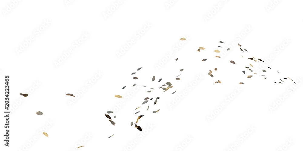 Obraz premium Falling autumn leaves scattered in motion isolated on transparent background for environment design asset. 3D rendering.