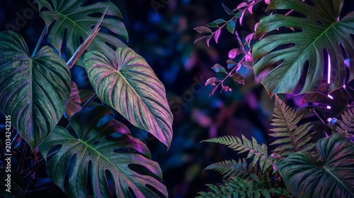 Vibrant Tropical Leaves in Neon Light Leaves Neon Light Plants Nature Greenery Botanical. Concept featuring leaves, neon, light, plants, nature for professional commercial design.
