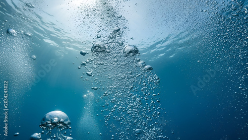 A mesmerizing underwater photo of a jellyfish with rising bubbles