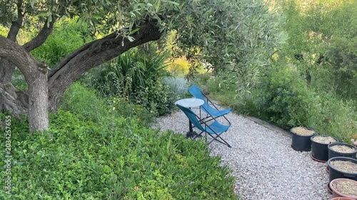 Two blue folding chairs and a small round table sit on a gravel path beneath a large tree surrounded by lush green plants in a tranquil garden setting