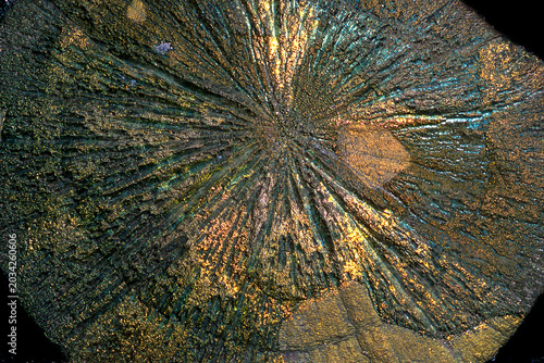 Tableau sur toile Pyrite Sun Concretion from Illinois coal mines 300' deep layer