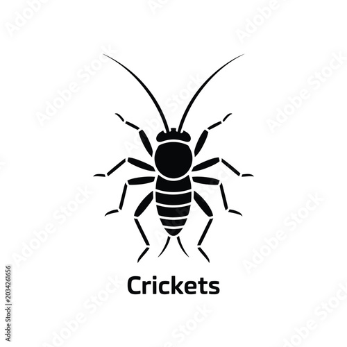 Foto Cricket Insect Silhouette A Minimalist Black And White Illustration