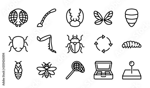 Fotografía Insect Icon Set: Entomology, Entomology Tools, and Bug Anatomy Line Art Collecti