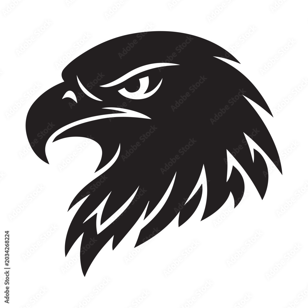 Fototapeta premium Bald Eagle Silhouette