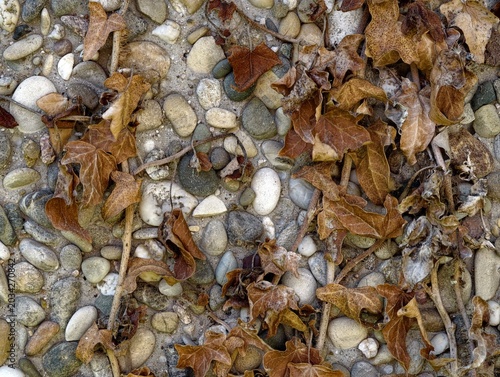 Crimson And Gold Leaves Strewn Across Rough Stone Walkway Surface