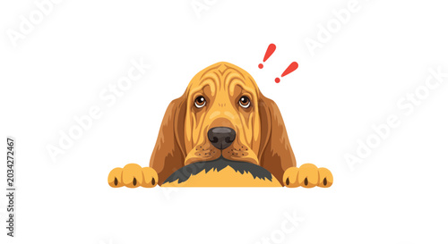 Fotografía Sad Bloodhound Dog Peeking Over Edge, Emotion, Surprise, Worried Expression