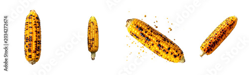  A singal Grilled corn cobs with char marks isolated on a transparent background