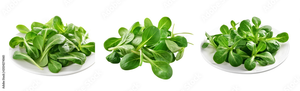Fototapeta premium corn salad, mache, lambs lettuce on transparent background
