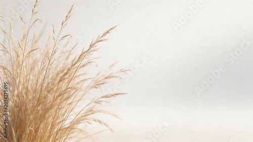 Golden grasses against soft background