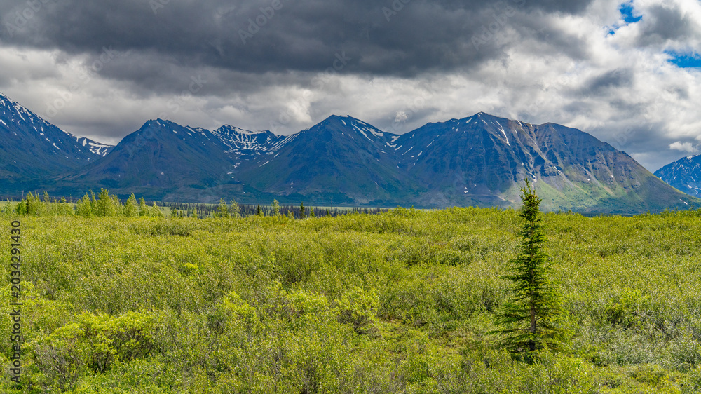 Obraz premium Alaska mountains, glacier, forest, view of Homer spit