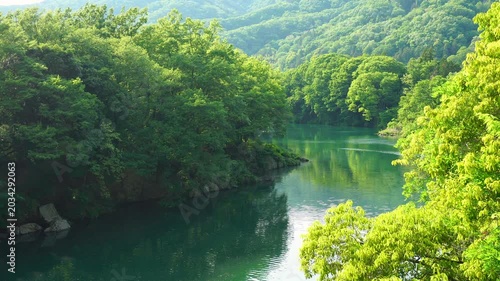新緑に囲まれた埼玉県長瀞町の荒川の風景