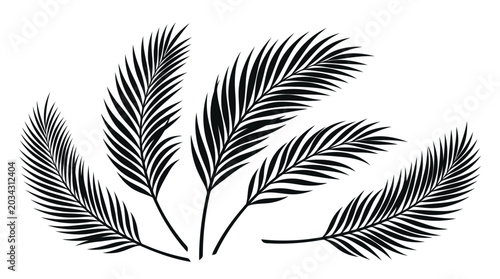 Black and white palm frond illustration set for tropical design elements