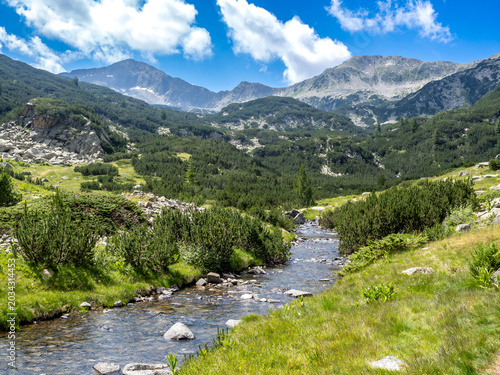 Stream in Pirin national park, Bulgaria