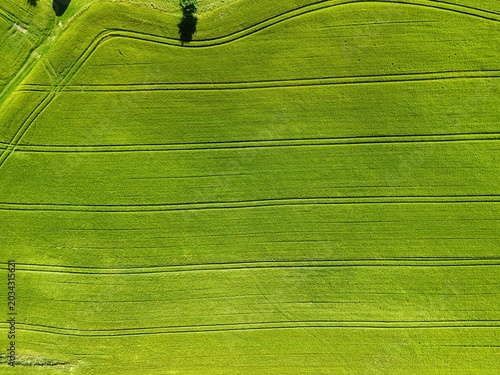 Aerial View of Green Agricultural Field with Curved Tractor Tracks
