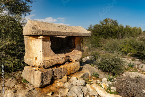 Ancient Lycian stone sarcophagus tomb in archaeological site. An ancient stone sarcophagus stands ruined amidst wild Mediterranean vegetation. Evoking historical mystery and quiet solitude. Turkey.
