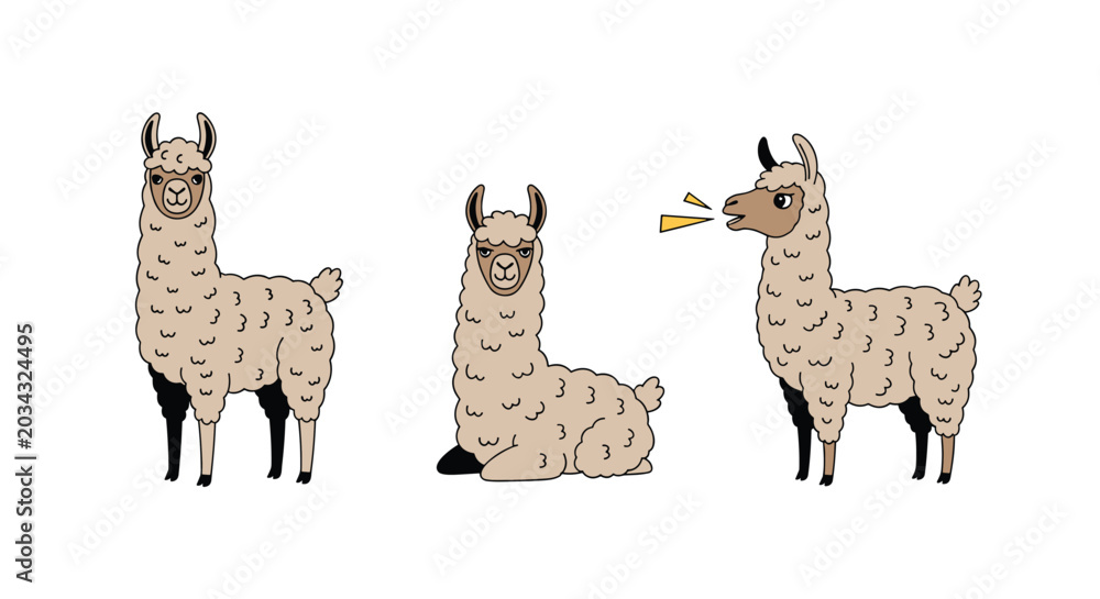 Naklejka premium Group of three cute cartoon llamas including one standing, one sitting, and one making a sound shown against a plain white background.