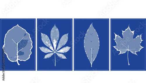 Cyanotype botanical prints four leaf variations on blue backgrounds