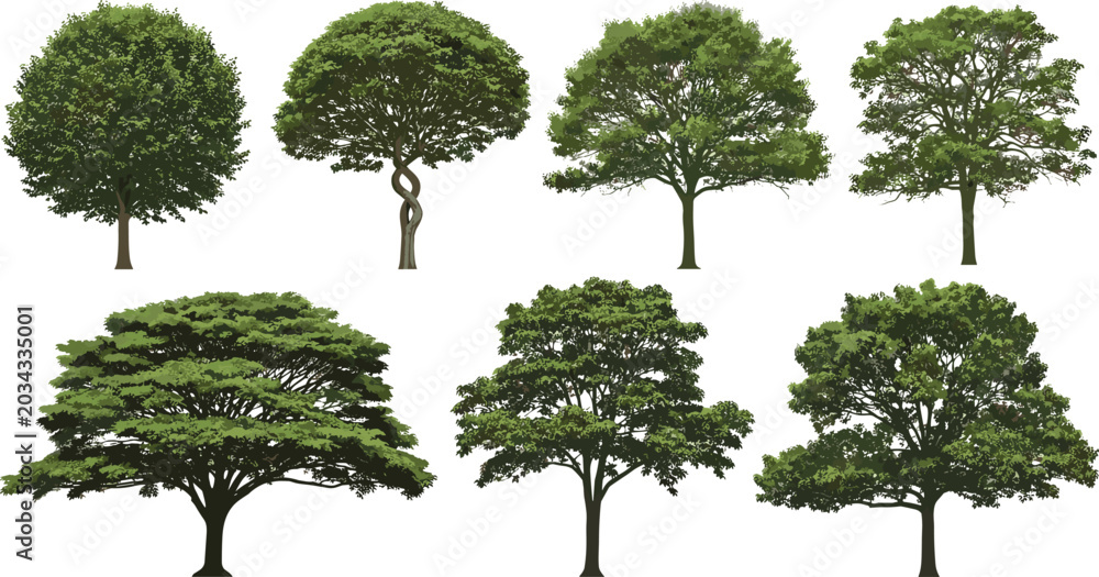 Fototapeta premium Illustration of multiple tree varieties with unique foliage patterns, canopy shapes, and natural growth forms arranged in rows