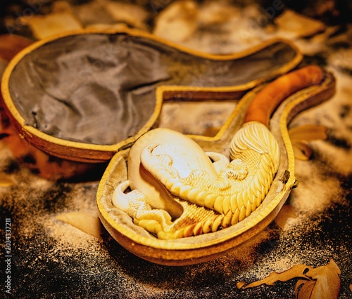 Fotografia A close-up of a very old and beautiful meerschaum pipe.