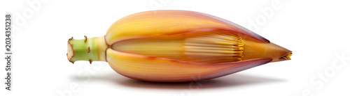 vibrant yellow orange banana flower delicate petals intricate details shot soft diffused studio lighting centered frame