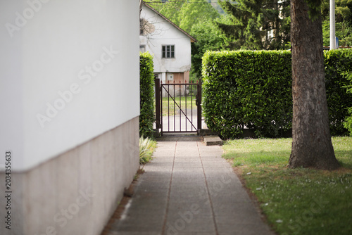 Quiet Residential Pathway with Garden Gate and Green Hedges