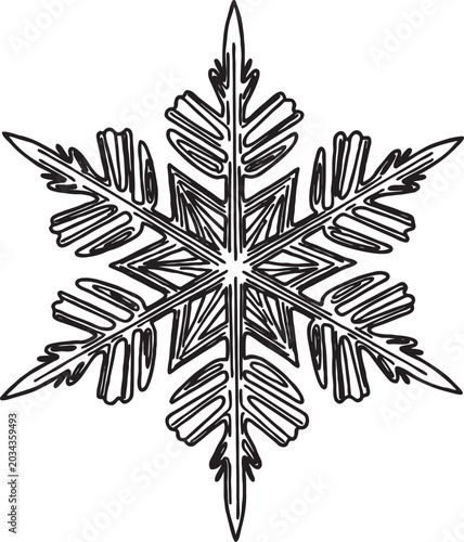 Photography Intricate black and white line art snowflake illustration featuring detailed cry