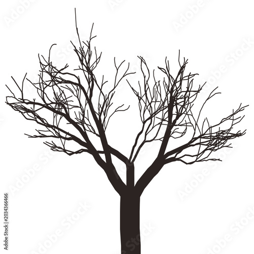 Konstfotografi Silhouette bare tree branches against stark white background displaying intricate, complex network of twigs and limbs, representing nature's dormant phase during winter season and potential for