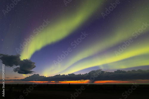 Картината върху платно Green northern lights dancing over the northern Canadian coastline