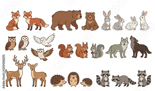 Woodland forest animal vector set with cute wildlife mammals and bird illustrations