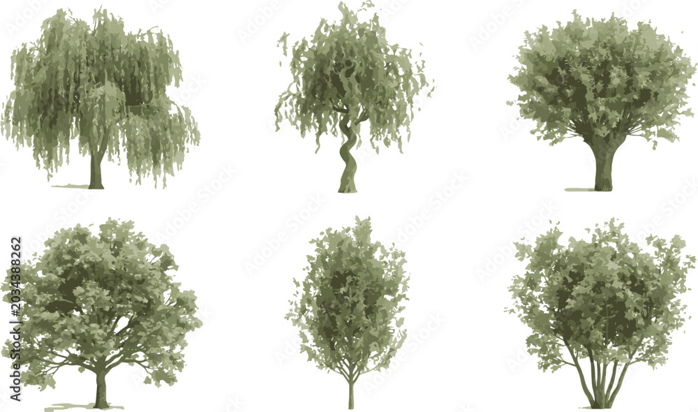 Fototapeta premium Varied green shrubs and small bushes collection landscaping design pack
