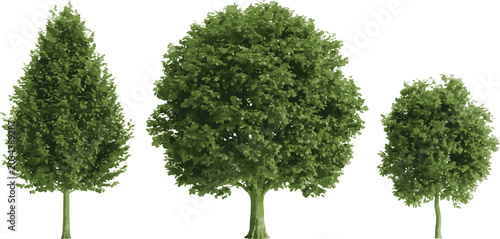 Foto Green broadleaf trees row pack nature environment landscape elements