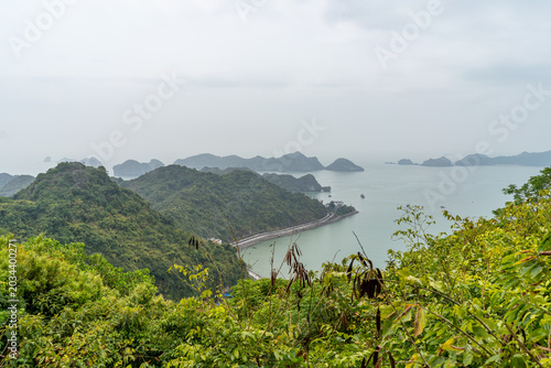 A scenic view of lush green mountains meeting the calm sea in Vietnam, with a winding road along the coast