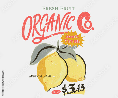 Quadro su tela Lemons fruit set