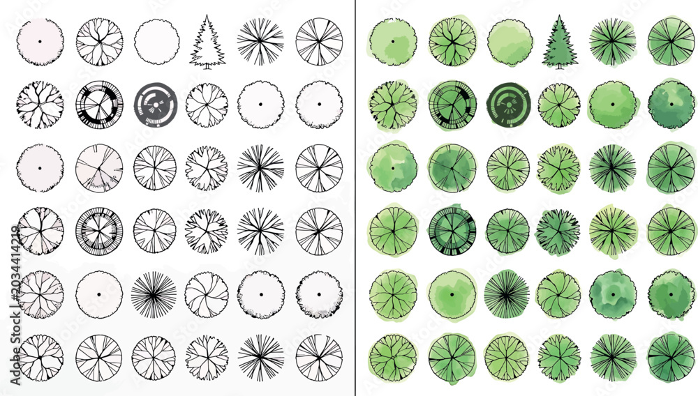 Fototapeta premium Set of various tree top view symbols for architectural landscape design, plan view of trees, vector illustration