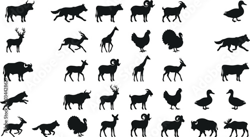 Photos A large collection of black vector silhouettes featuring various wild animals, farm livestock, and poultry birds