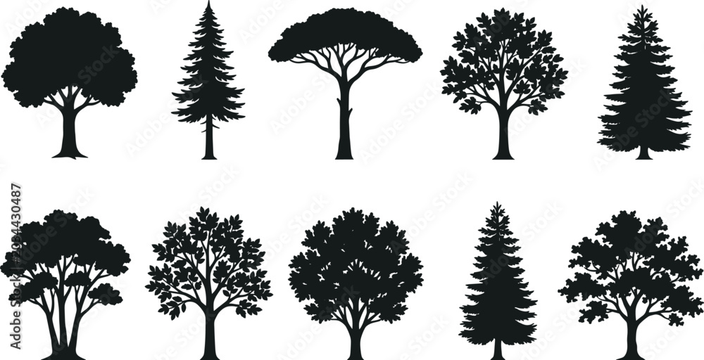 Fototapeta premium Tree silhouette collection with ten diverse botanical designs including coniferous, deciduous, palm, and columnar forest variations