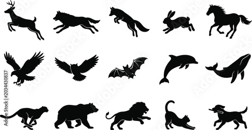 Photography Black Silhouette Wild and Domestic Animal Icons Set