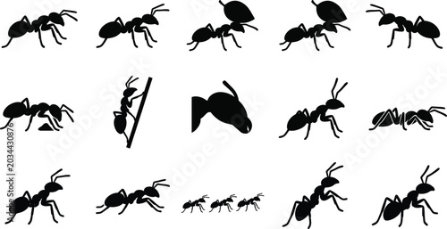 Fotografía Black Silhouette Ant Icon Set in Various Poses