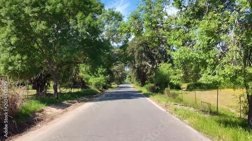 Point of view driving along a narrow asphalt road in monfrague national park. Lush green trees and vegetation line the scenic route