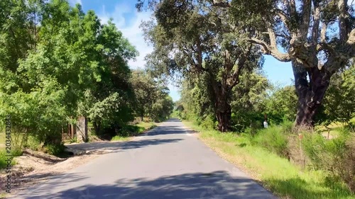 First person point of view driving on a scenic road through the dehesa landscape of monfrague national park in extremadura, spain