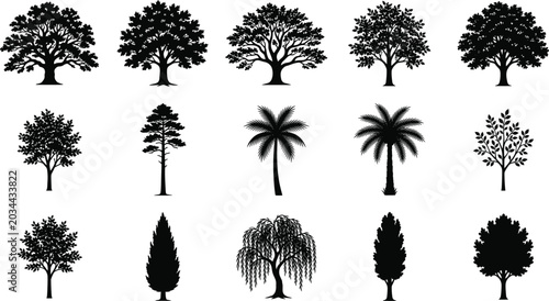 Fotografía Tree silhouette collection with fifteen diverse botanical designs including palm