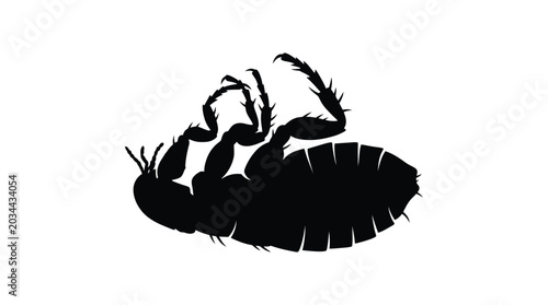 Tableau sur toile Flea Silhouette On White Background Insect Shape Illustration