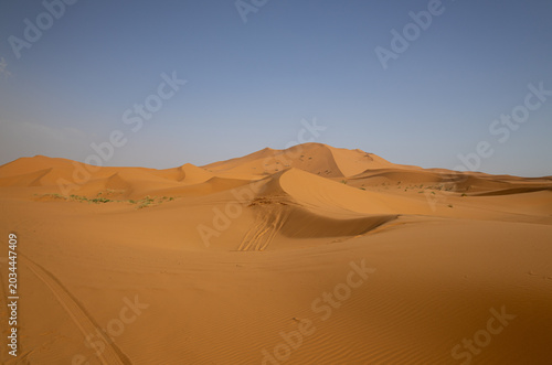 Golden Sand Dunes of the Sahara Desert in Merzouga, Morocco