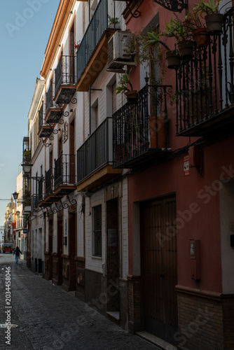 Narrow street San Luis with person walking and traditional balconies decorated with potted plants in Seville